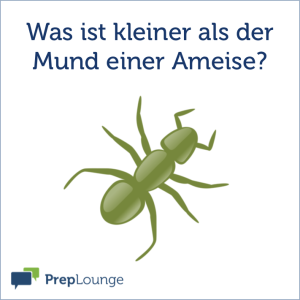 Brainteaser: Ameisen
