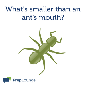 Brainteaser: The ants