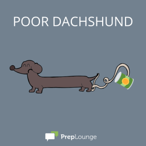 Brainteaser: Poor Dachshund