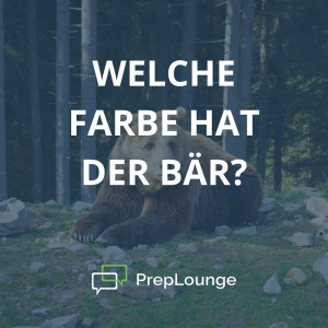 Brainteaser: Farbiger Bär