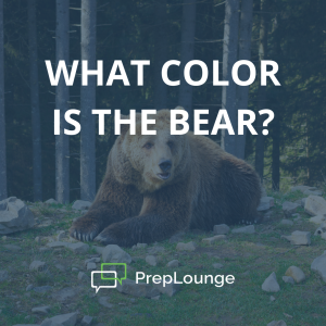 Brainteaser: Colored Bear