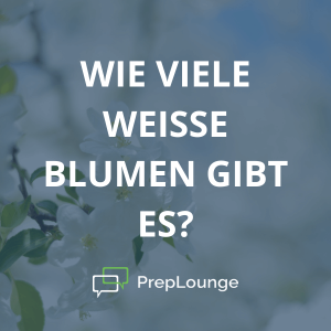 Brainteaser: Weiße Blumen