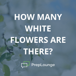 Brainteaser: White Flowers