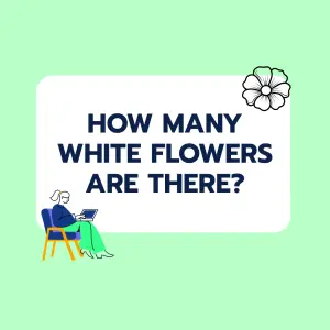 Brainteaser: White Flowers