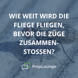 Brainteaser: Eine Fliege auf Reisen