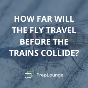 Brainteaser: Travelling Fly