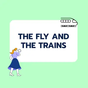 Brainteaser: Travelling Fly
