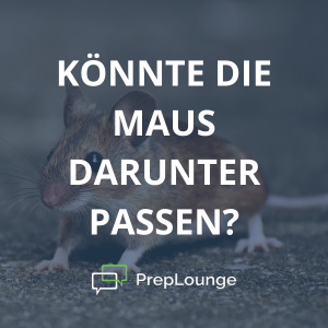 Brainteaser: Maus und Erde