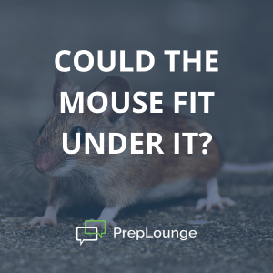 Brainteaser: Mouse and Earth