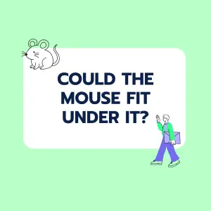 Brainteaser: Mouse and Earth