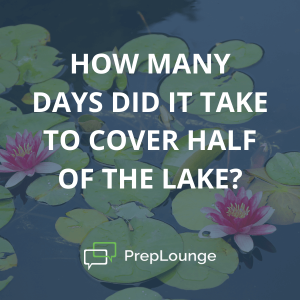 Brainteaser: Lily Pads Patch