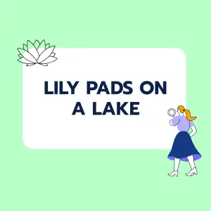 Brainteaser: Lily Pads Patch