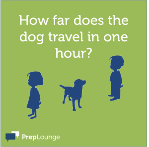 Brainteaser: The dog