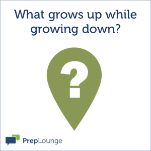 Brainteaser: Grows Up and Grows down