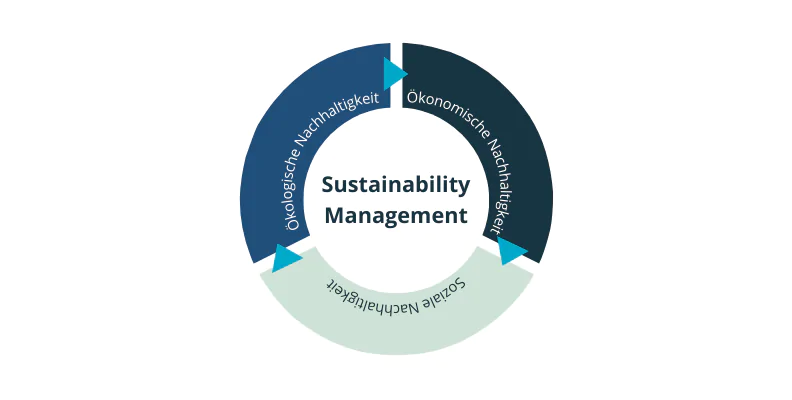 Sustainability Consulting Komponenten
