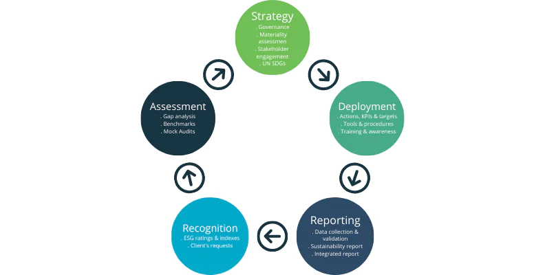 sustainability consulting steps