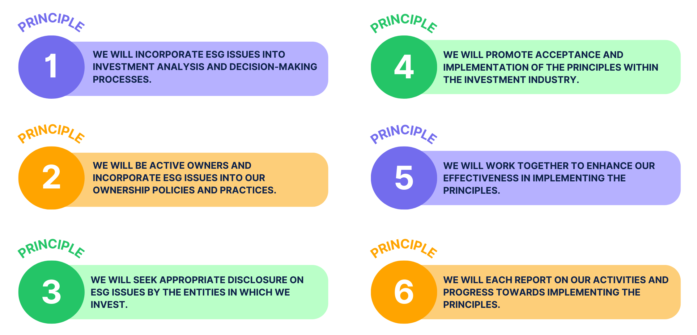 six principles of the PRI