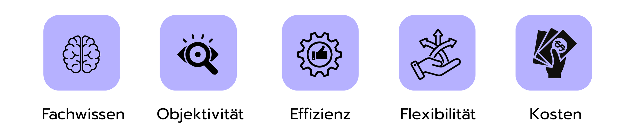 Grafik mit fünf Gründen, warum Unternehmen Beratungsfirmen beauftragen: Fachwissen, Objektivität, Effizienz, Flexibilität und Kosten.