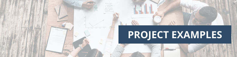 Project Examples