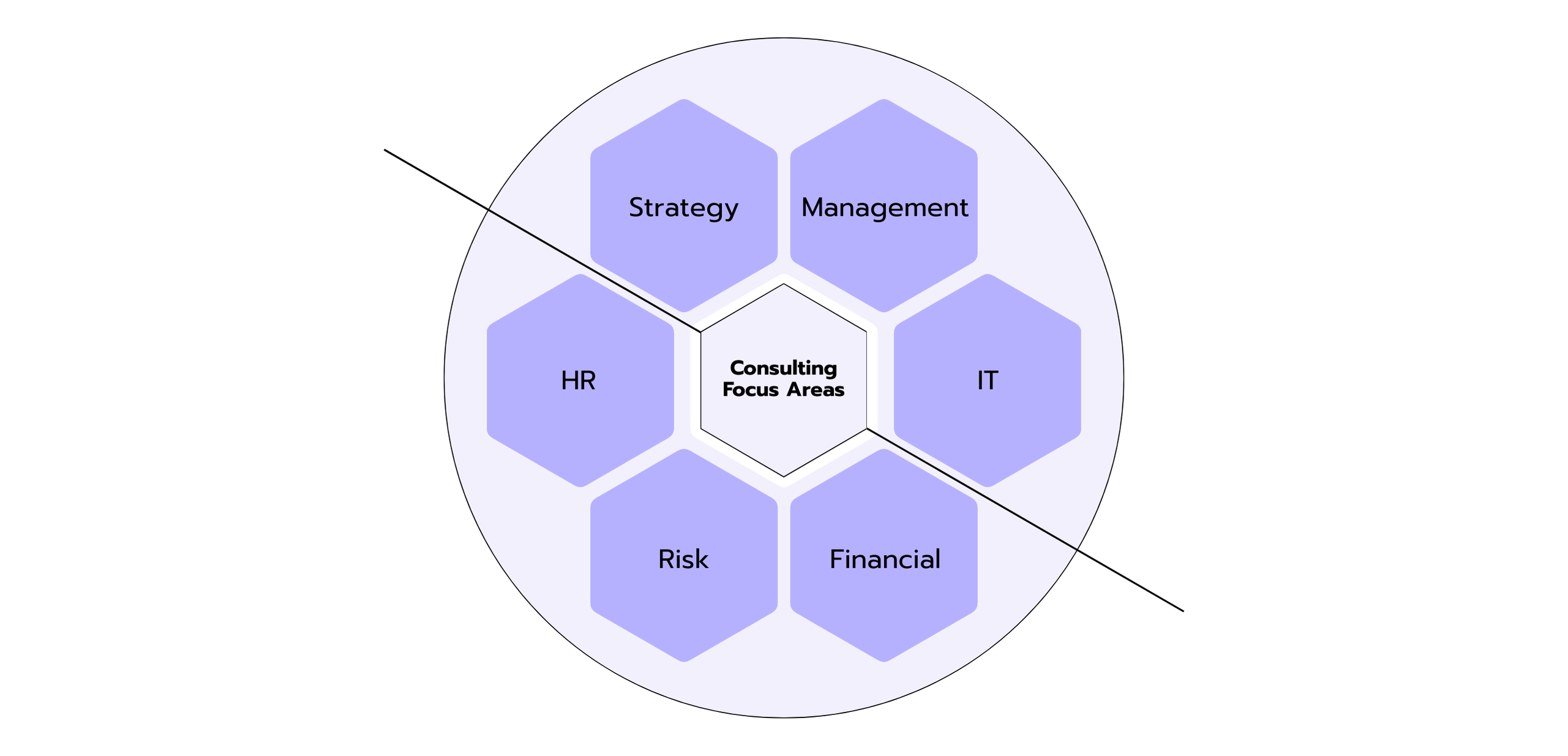Graphic on consulting focus areas: Strategy, Management, IT, Financial, Risk, and HR, shown in a circular diagram with hexagonal fields.