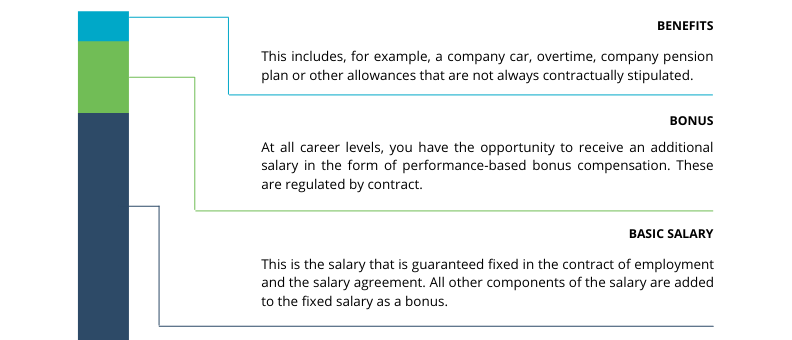 Salary Structure Consultant