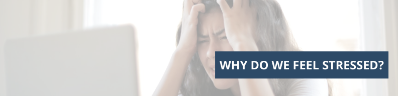 Why Do We Feel Stressed?