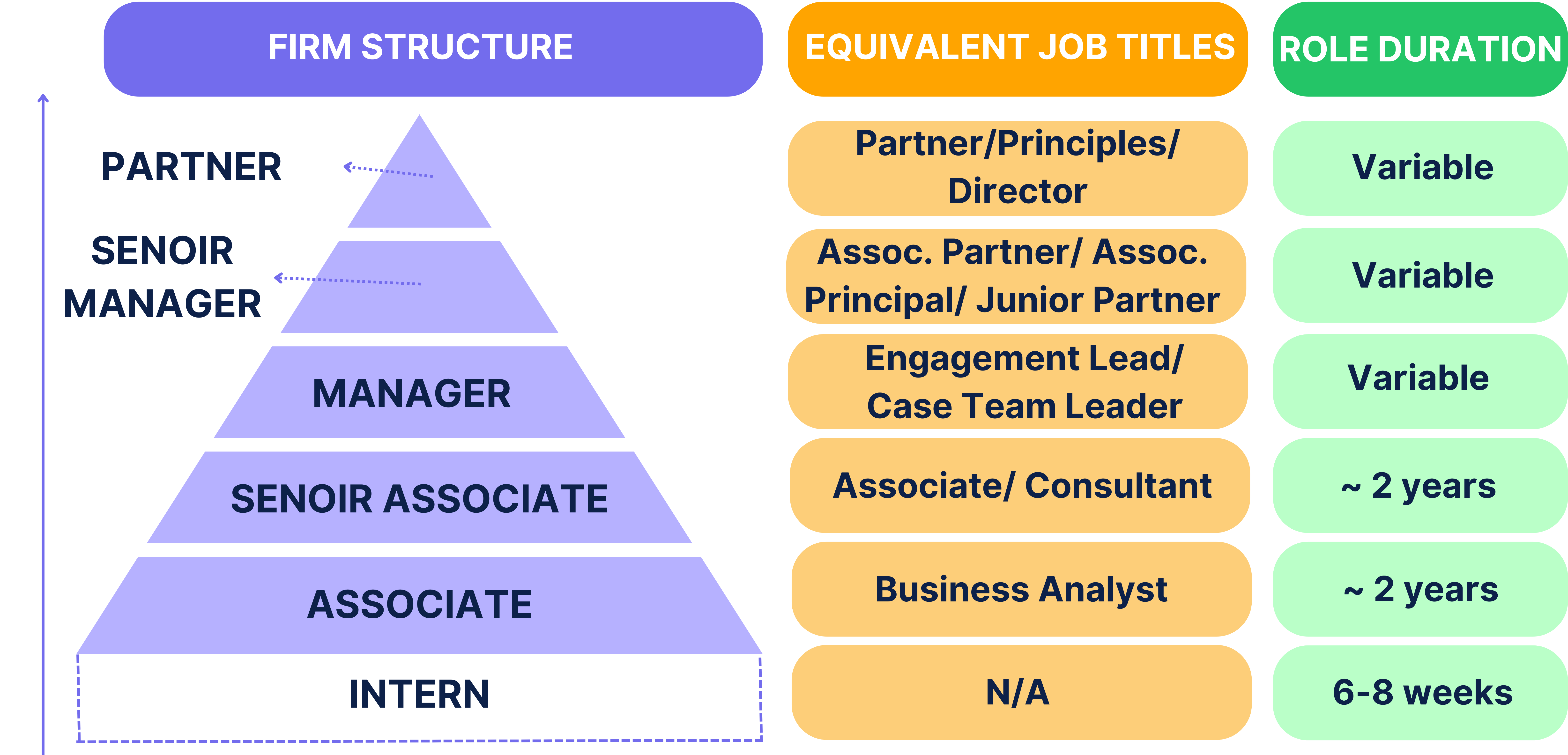 Firm Structure Overview