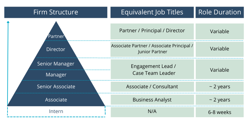 Firm Structure Overview