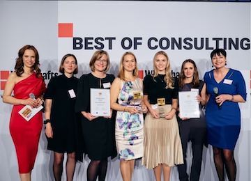 Volkwagen Consulting