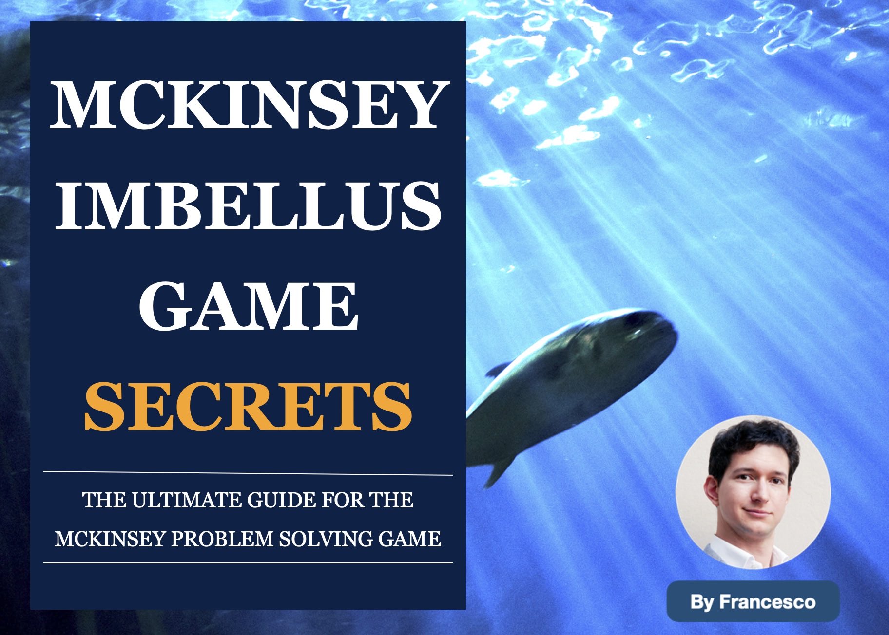 McKinsey Imbellus Guide by Francesco
