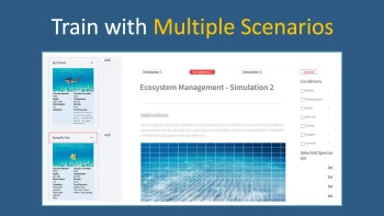 McKinsey Solve Game Simulation Package