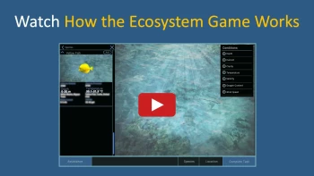 McKinsey Solve Game Simulation Package