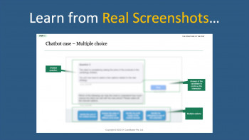 BCG Online Case Combo Guide und Live Simulation