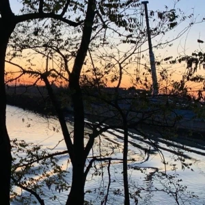 Profile picture of Francesco