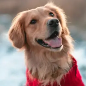 Profile picture of Sally